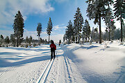 Langlauf im Bayerischen Wald